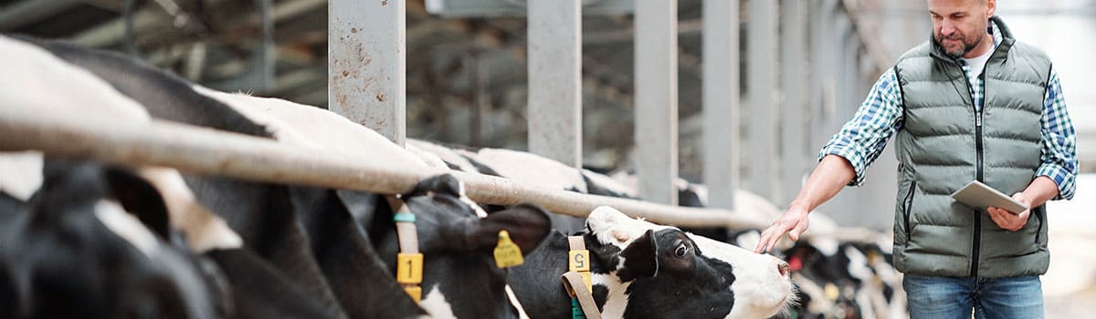 Électricien agricole Magog Estrie